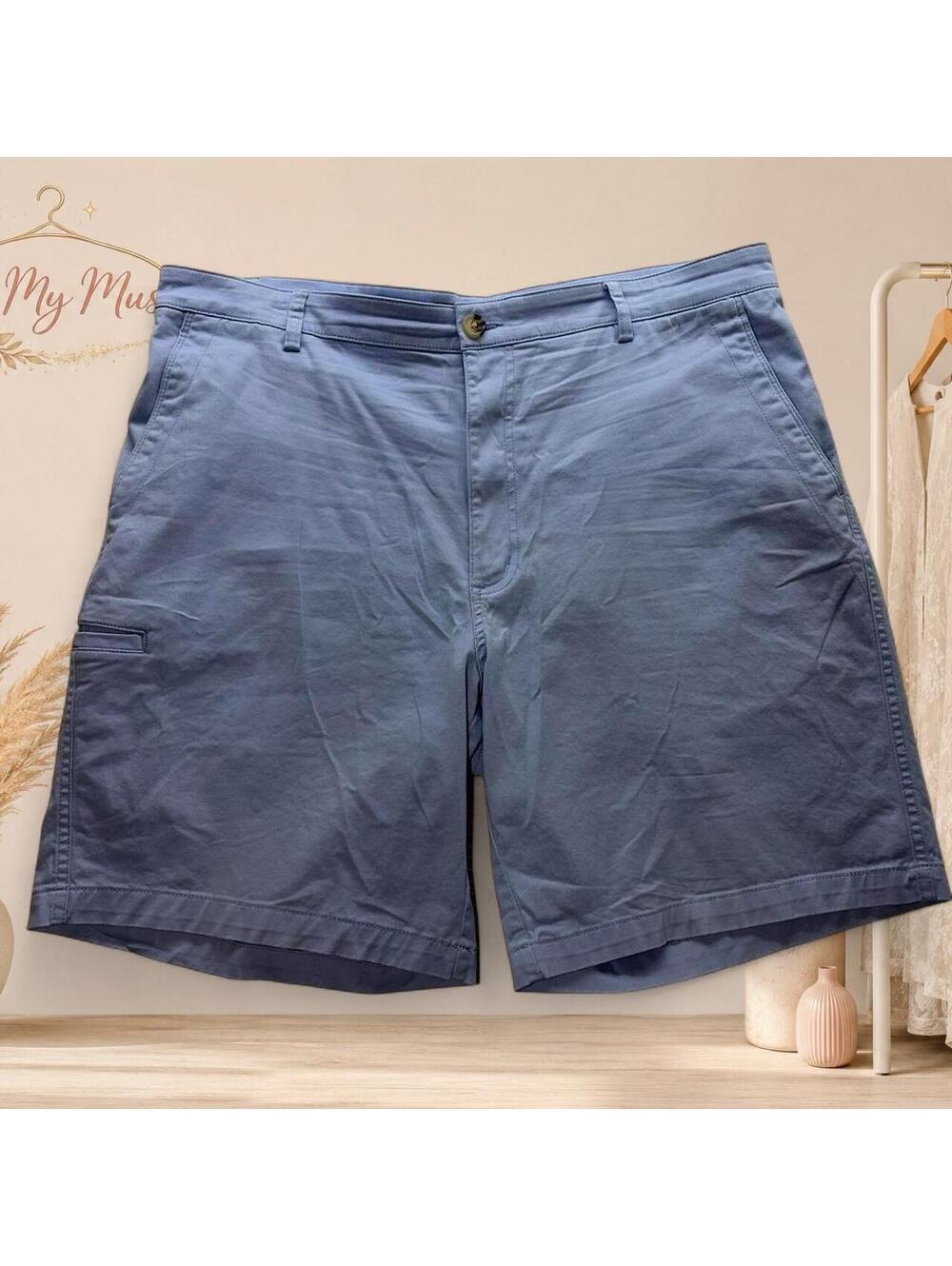 Men's Blue and Purple Shorts